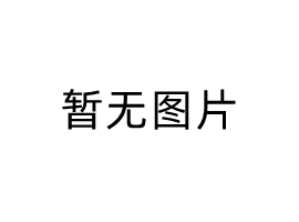 
	****团队
